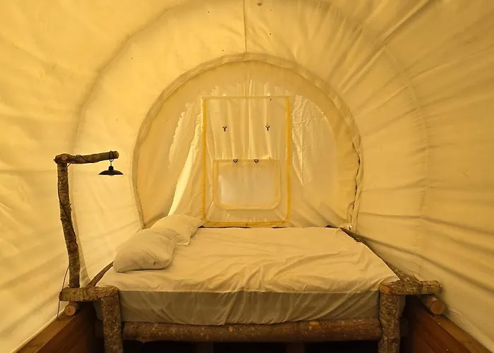 Covered Wagons Hill Camp - Wagon 4